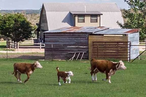 The Barnhouse for 4 @ TimberRose Ranch FBG TX